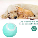 Cat Smart Automatic Rolling Ball