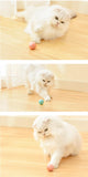Cat Smart Automatic Rolling Ball