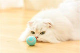 Cat Smart Automatic Rolling Ball