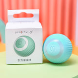 Cat Smart Automatic Rolling Ball