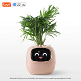 Tuya Ivy Smart Planter with AI Chip & 7 Sensors – Over 49 Fun Expressions for Easy Plant Care