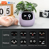 Tuya Ivy Smart Planter with AI Chip & 7 Sensors – Over 49 Fun Expressions for Easy Plant Care
