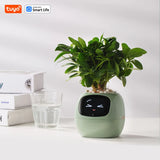 Tuya Ivy Smart Planter with AI Chip & 7 Sensors – Over 49 Fun Expressions for Easy Plant Care