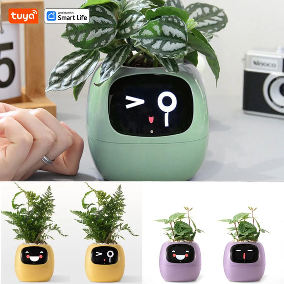Tuya Ivy Smart Planter with AI Chip & 7 Sensors – Over 49 Fun Expressions for Easy Plant Care