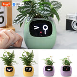 Tuya Ivy Smart Planter with AI Chip & 7 Sensors – Over 49 Fun Expressions for Easy Plant Care