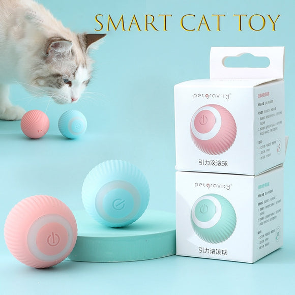 Cat Smart Automatic Rolling Ball